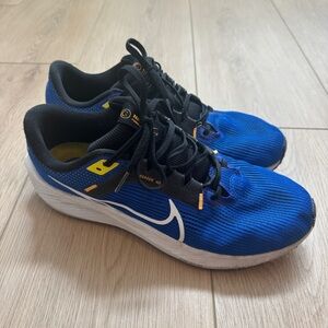 Nike Pegasus 40 Size 12